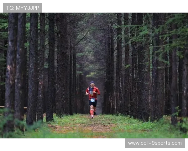 特色森林越野跑,拥抱自然的运动新体验,森林越野车图片大全 特色森林越野跑,拥抱自然的运动新体验,森林越野车图片大全